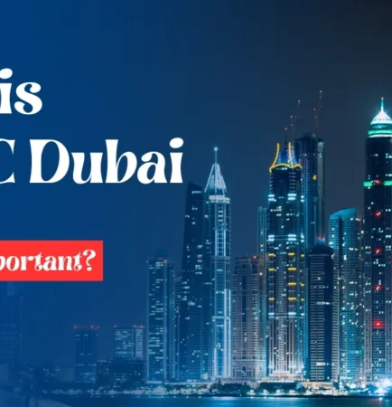 Image of Dubai skyline at night with text What is DMCC Dubai and hy is it important?