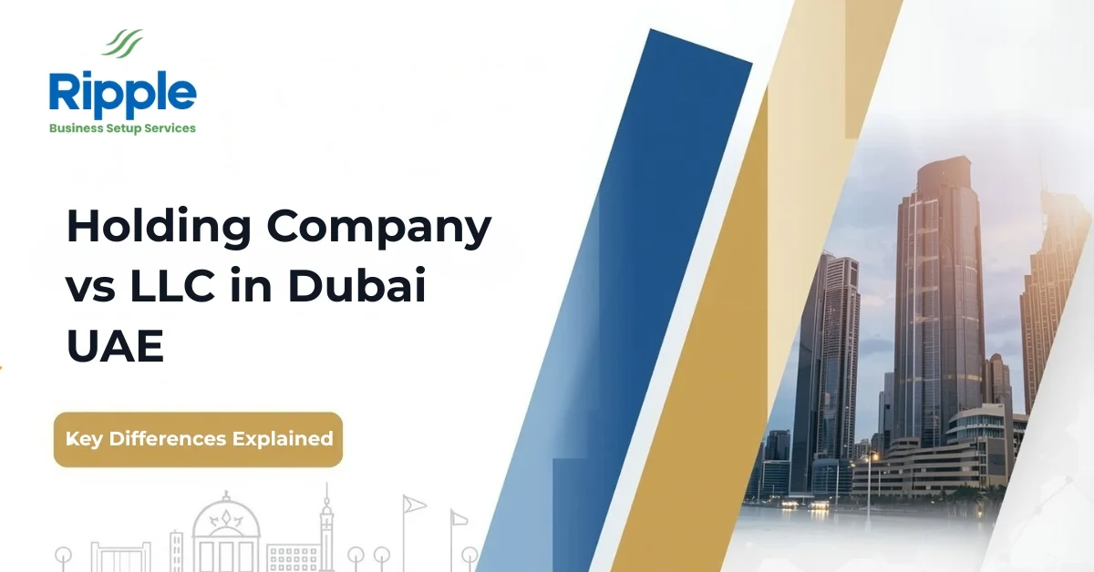 Image of Professional Dubai business design showing Holding Company vs LLC key differences