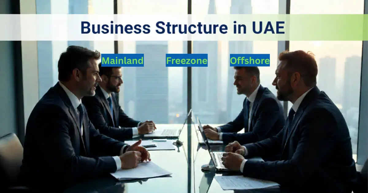 Business professionals discussing business structure in UAE, comparing mainland, free zone, and offshore company setup options in a modern Dubai office.