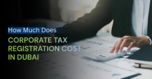 Corporate accountant reviewing financial reports for tax registration in Dubai office.