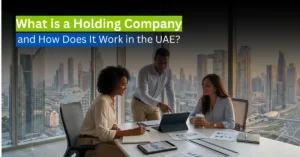 Executive reviewing holding company assets in modern Dubai office.