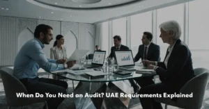 Audit process for UAE businesses with professional financial statement review and corporate compliance.
