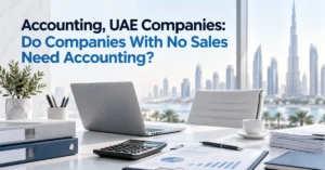 UAE company with zero sales maintaining accounting records for licence costs, bank charges, owner funding and business expenses.